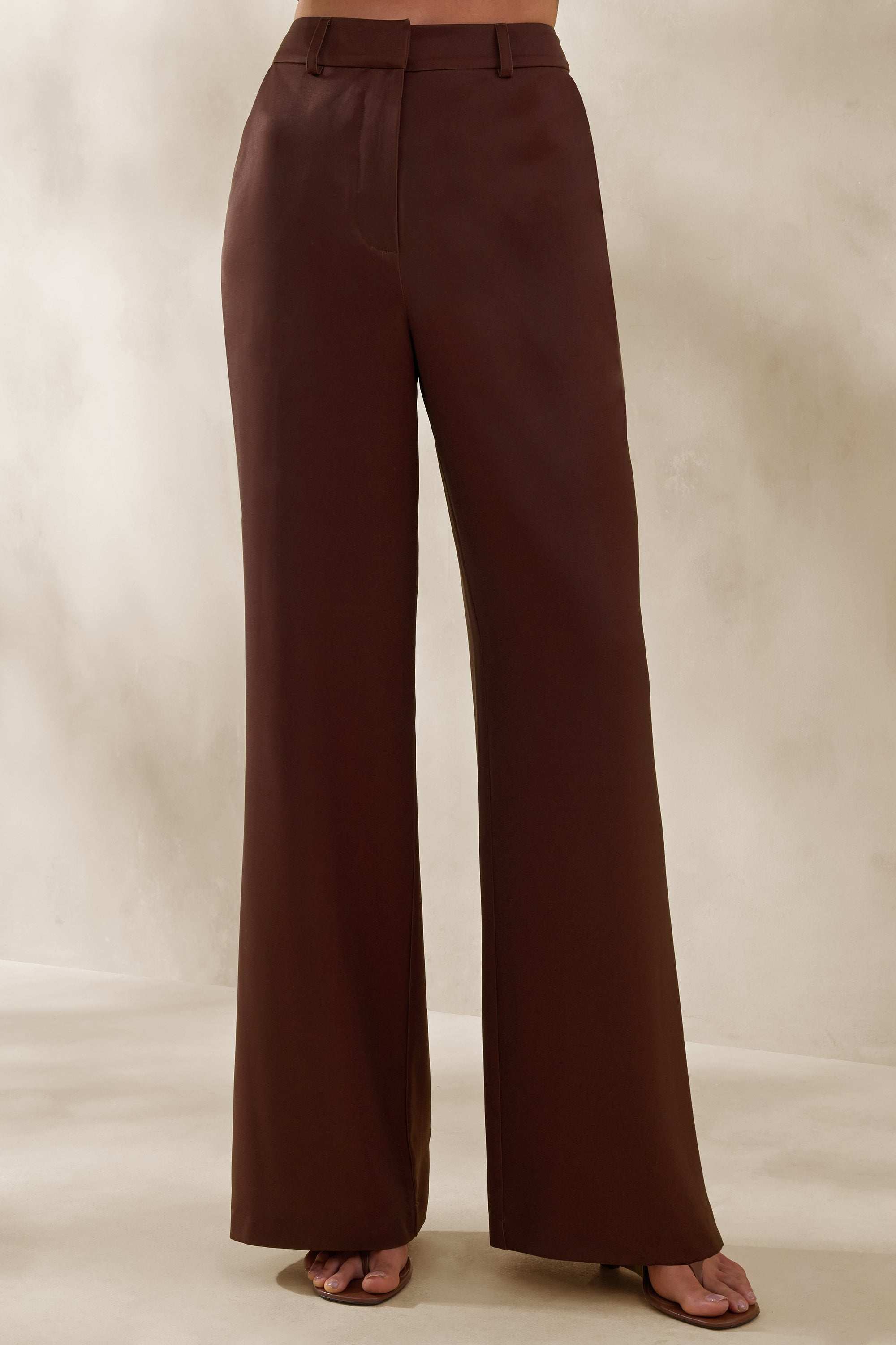 ECM_HR_CL137200022 - Seloria _ Brown Wide-Leg Trouser 1.jpg