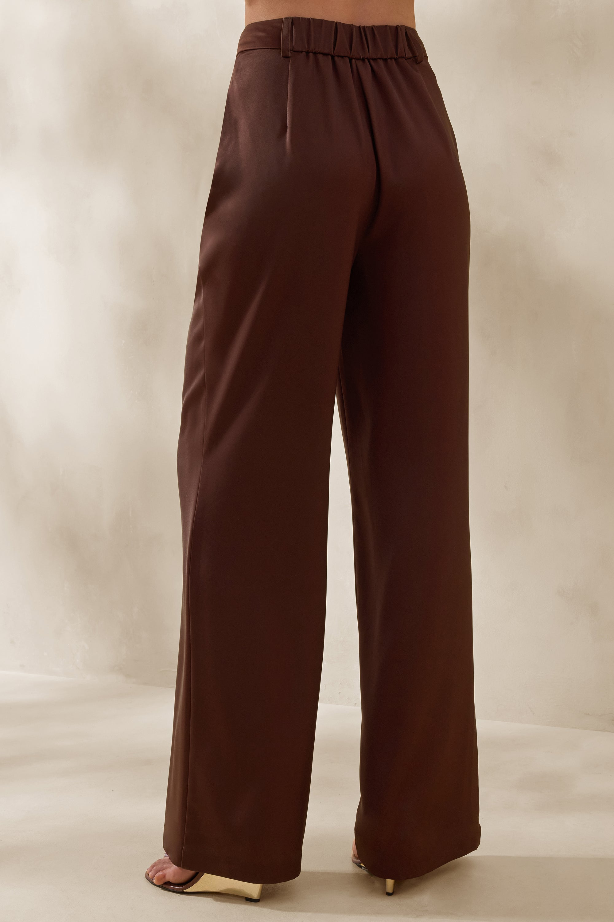 ECM_HR_CL137200022 - Seloria _ Brown Wide-Leg Trouser 2.jpg