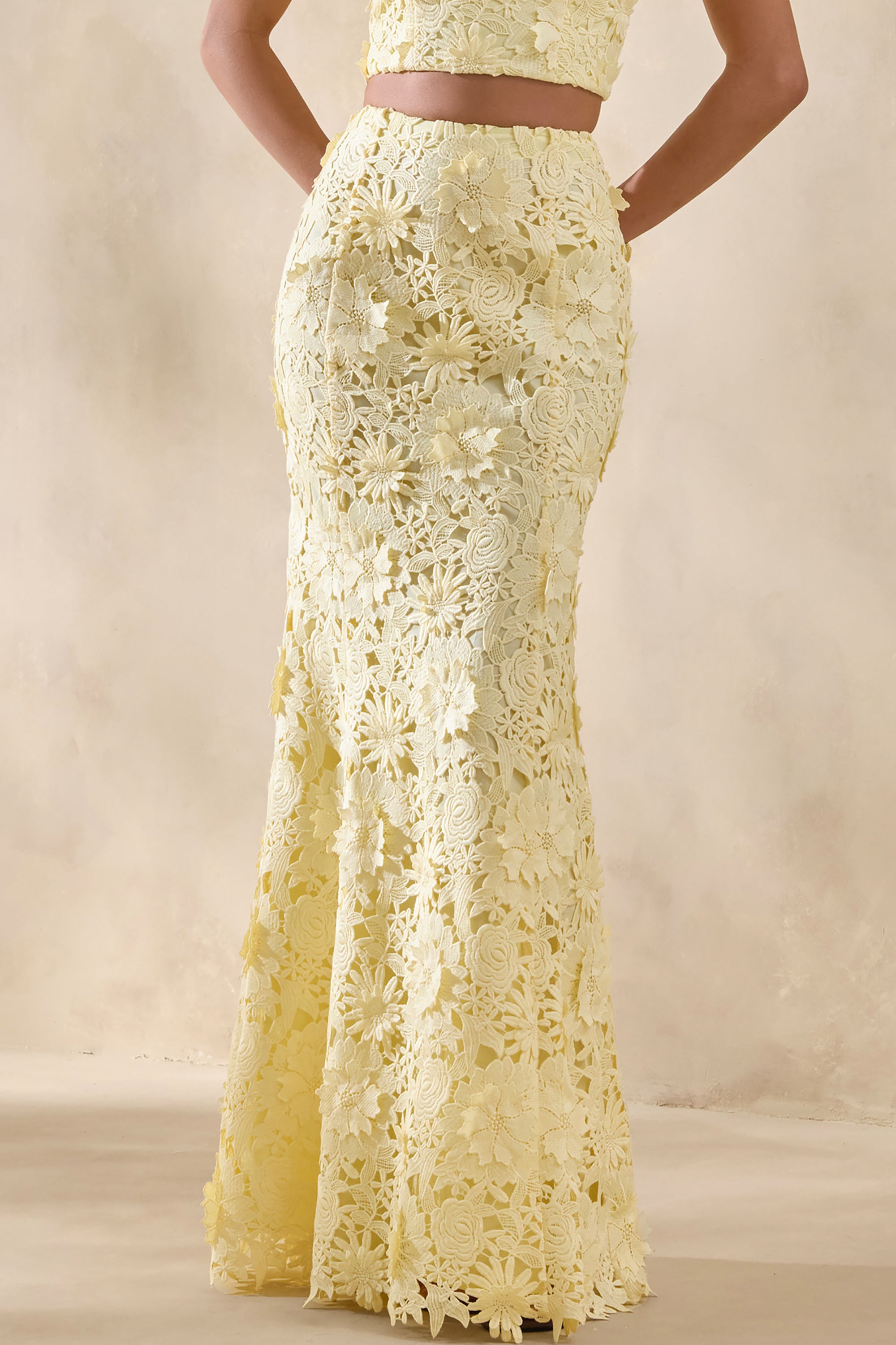 ECM_HR_CL137398121---Esmara-_-Lemon-Lace-Maxi-Skirt1.jpg