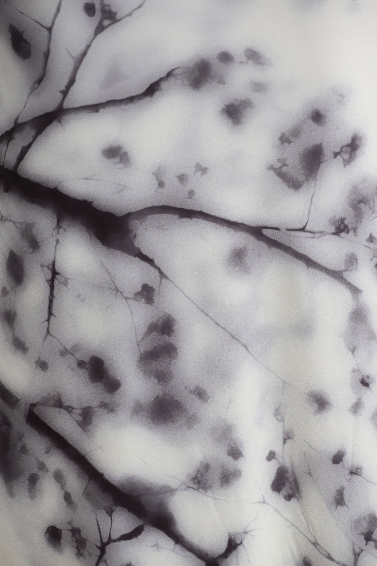 uploaded_image_4_5o9fw